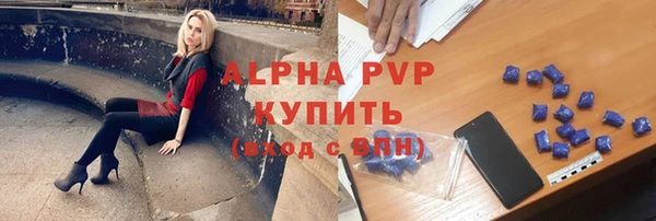 дживик Козельск