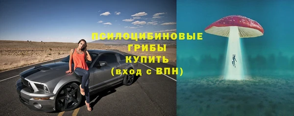 прущие крисы Киренск