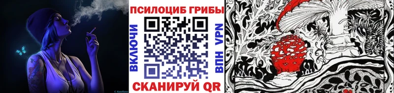 МЕГА зеркало  Нея  Псилоцибиновые грибы Psilocybe 